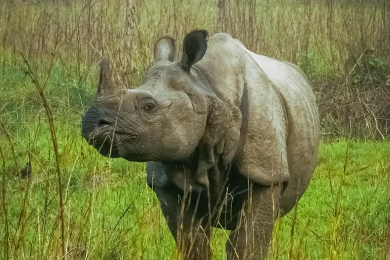 33721cd5849d7b55304638b0601b67298d0b31ef