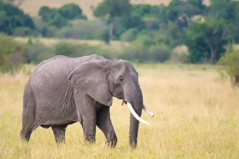 56789f53ec7709921d6174f0836909c8dac1e6c4