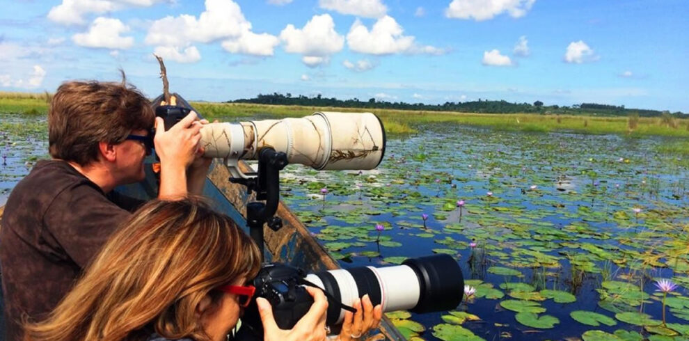Birdwatching Safaris